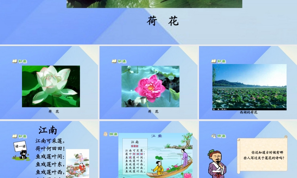 （秋季版）一年级语文上册 课文1 3 江南课件2 新人教版-新人教版小学一年级上册语文课件