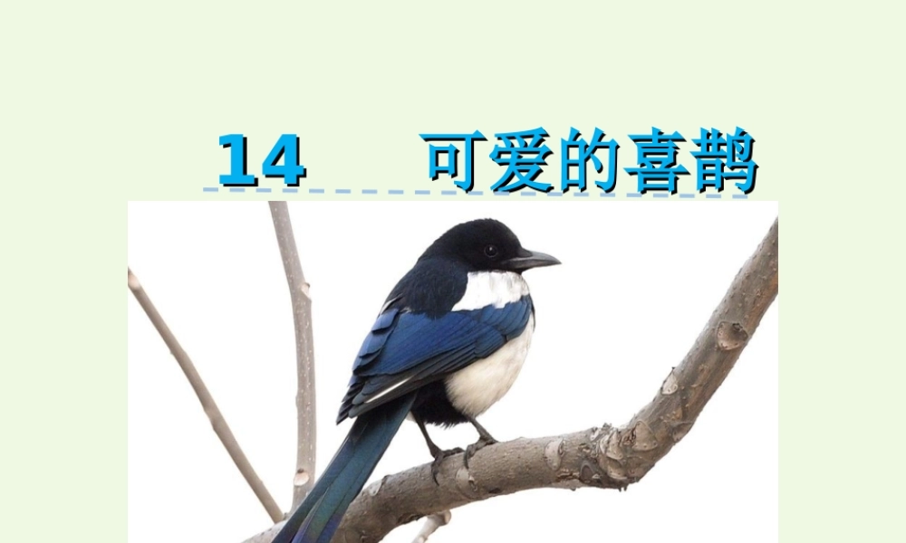 （秋季版）一年级语文下册 第14课 可爱的喜鹊课件 西师大版-西师大版小学一年级下册语文课件