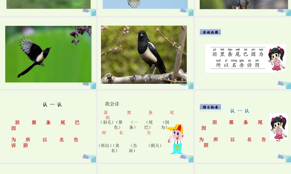 （秋季版）一年级语文下册 第14课 可爱的喜鹊课件 西师大版-西师大版小学一年级下册语文课件