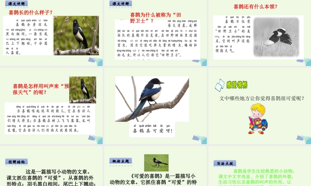 （秋季版）一年级语文下册 第14课 可爱的喜鹊课件 西师大版-西师大版小学一年级下册语文课件