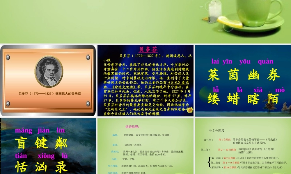 秋四年级语文上册《月光曲》课件2 北师大版-北师大版小学四年级上册语文课件