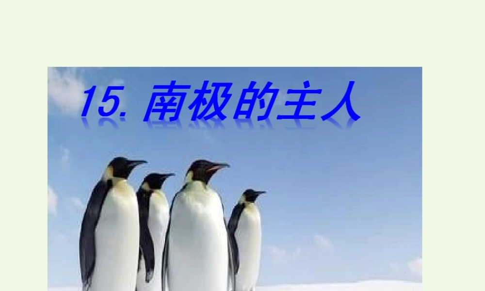 （秋季版）一年级语文下册 第15课 南极的主人课件 苏教版-苏教版小学一年级下册语文课件