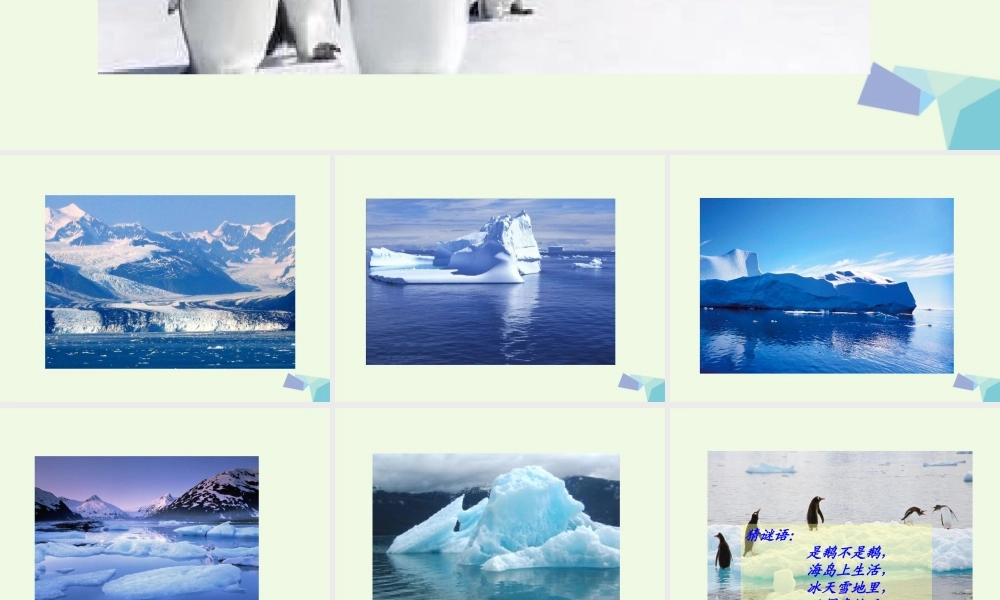 （秋季版）一年级语文下册 第15课 南极的主人课件 苏教版-苏教版小学一年级下册语文课件