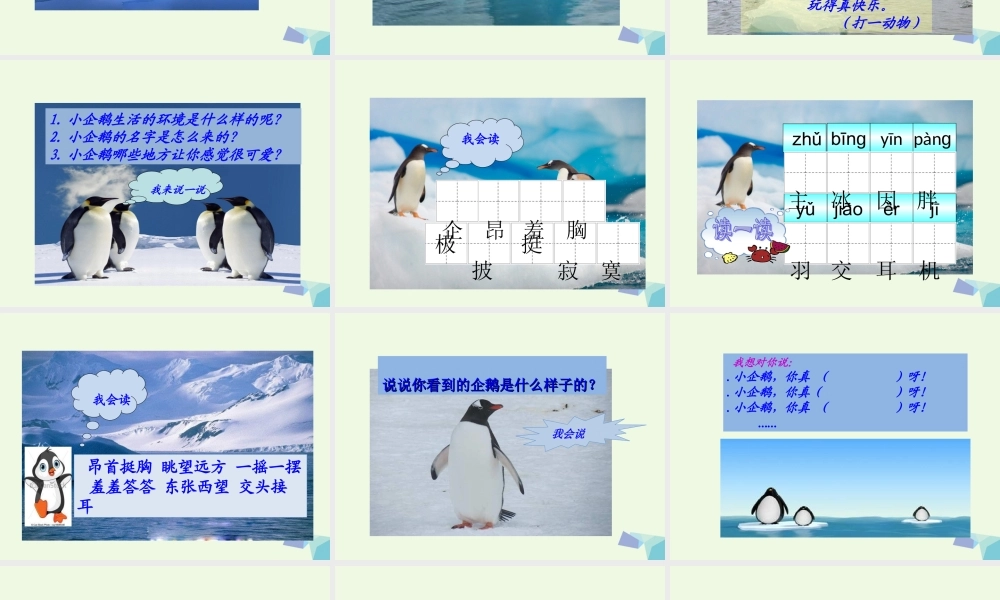 （秋季版）一年级语文下册 第15课 南极的主人课件 苏教版-苏教版小学一年级下册语文课件