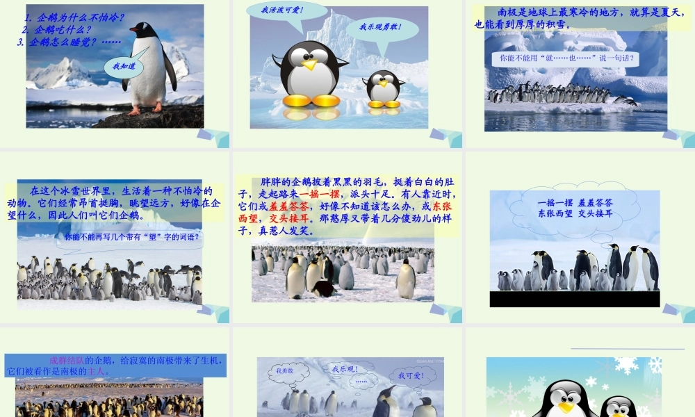 （秋季版）一年级语文下册 第15课 南极的主人课件 苏教版-苏教版小学一年级下册语文课件
