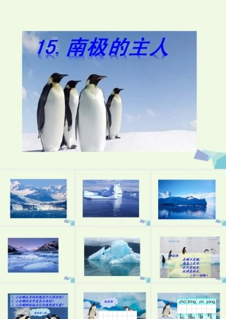 （秋季版）一年级语文下册 第15课 南极的主人课件 苏教版-苏教版小学一年级下册语文课件