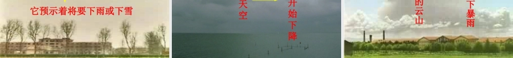 金级语文上册 第四单元 云识天气》课件 鲁教版五四制-鲁教版五四级上册语文课件