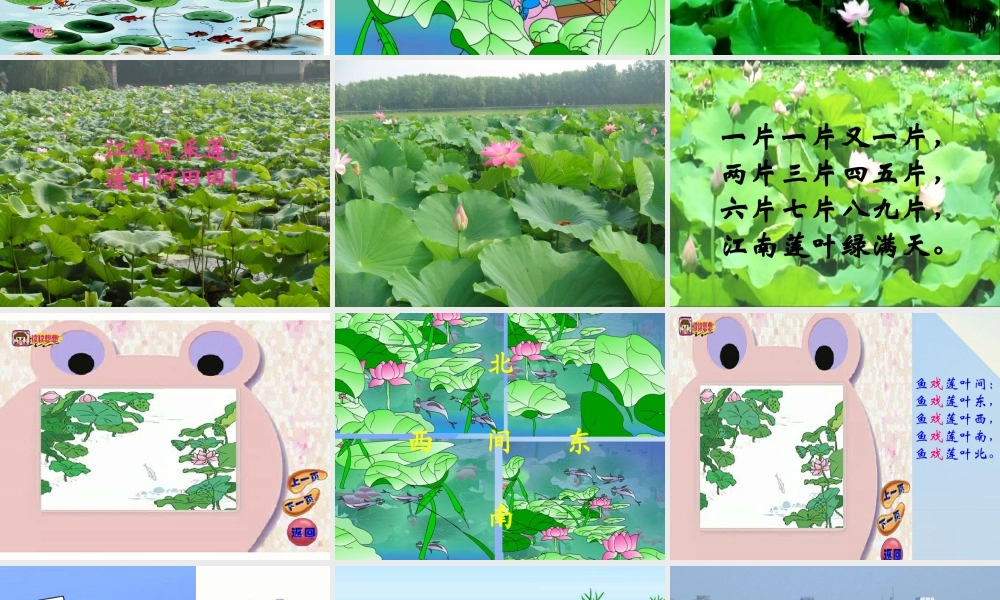（秋季版）一年级语文上册 课文1 3 江南课件4 新人教版-新人教版小学一年级上册语文课件