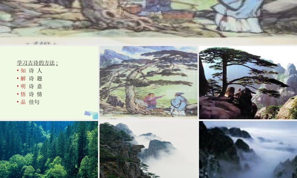 （秋季版）一年级语文下册 第15课 寻隐者不遇课件1 西师大版-西师大版小学一年级下册语文课件