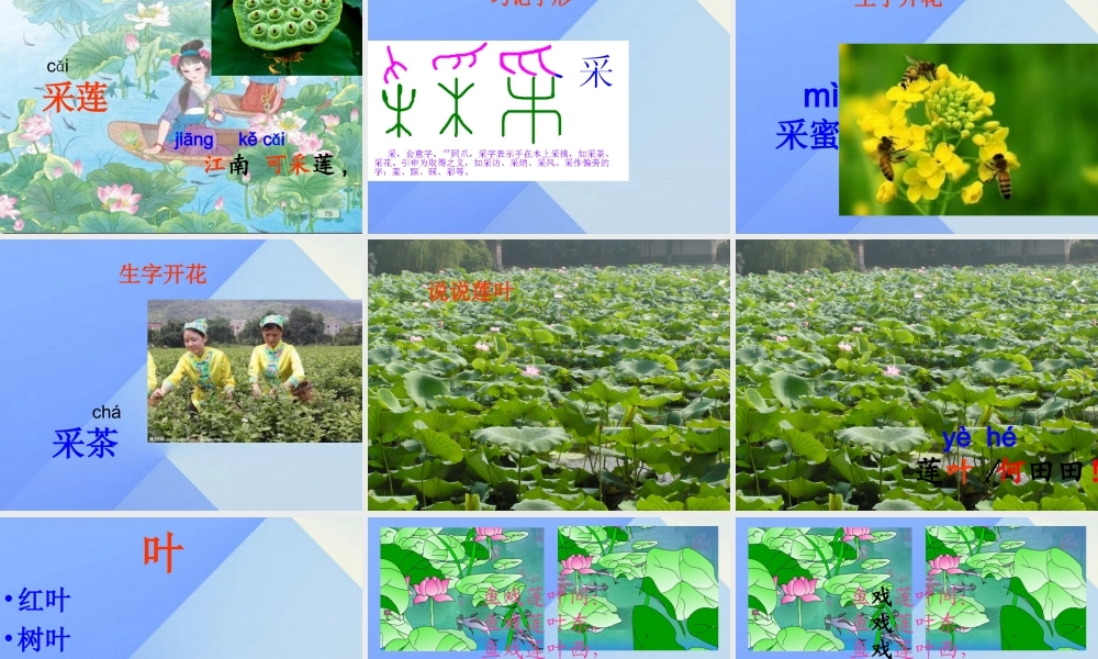 （秋季版）一年级语文上册 课文1 3 江南课件5 新人教版-新人教版小学一年级上册语文课件