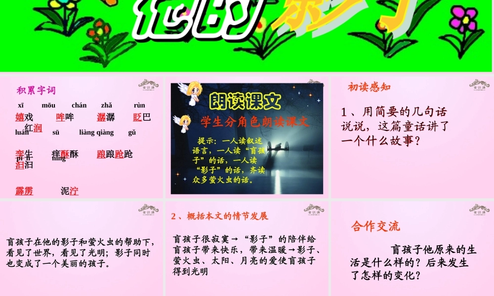 金级语文上册 第五单元 28《盲孩子和他的影子》课件 鲁教版五四制-鲁教版五四级上册语文课件