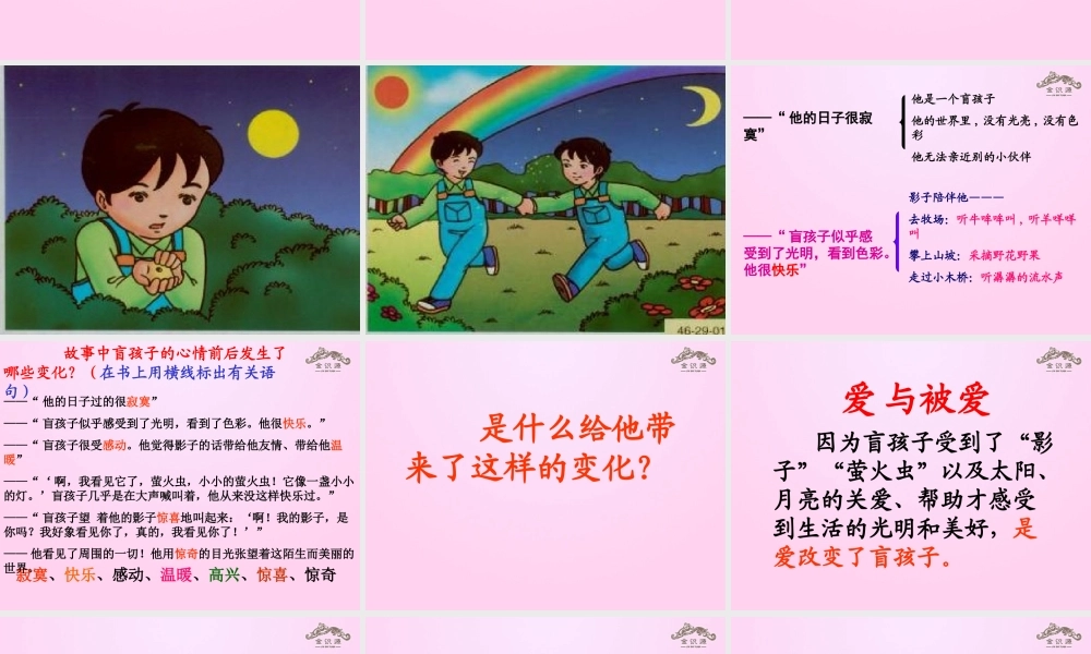 金级语文上册 第五单元 28《盲孩子和他的影子》课件 鲁教版五四制-鲁教版五四级上册语文课件