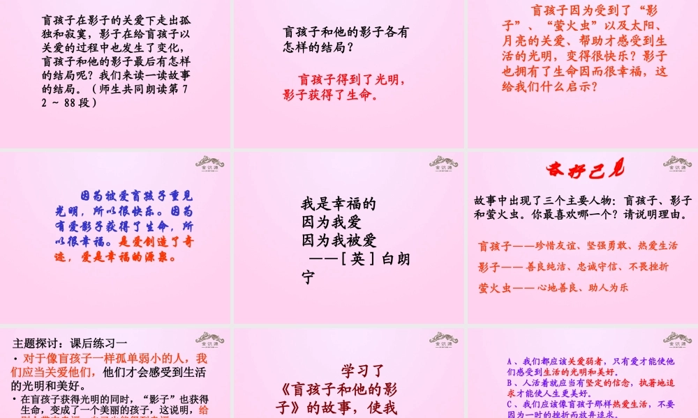 金级语文上册 第五单元 28《盲孩子和他的影子》课件 鲁教版五四制-鲁教版五四级上册语文课件