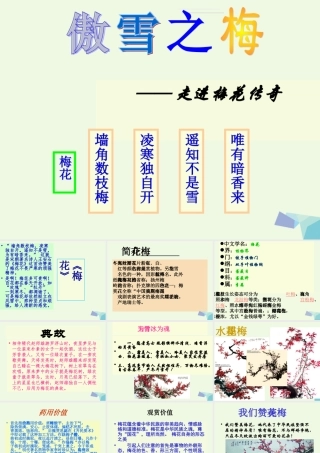 （秋季版）一年级语文上册 梅花课件2 长春版-长春版小学一年级上册语文课件