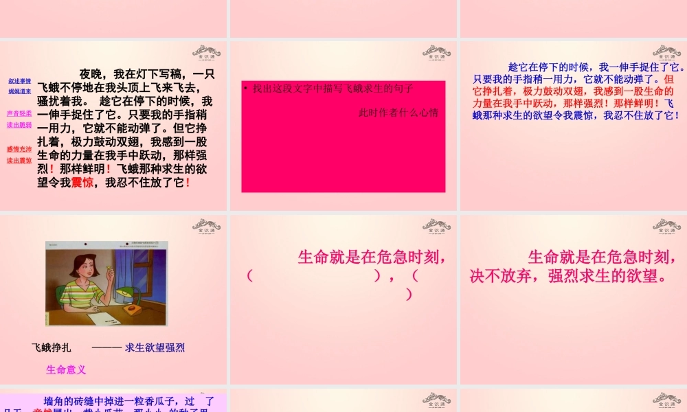 金级语文上册 第一单元 2《生命，生命》课件 鲁教版五四制-鲁教版五四级上册语文课件