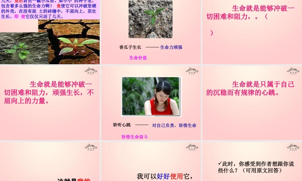 金级语文上册 第一单元 2《生命，生命》课件 鲁教版五四制-鲁教版五四级上册语文课件