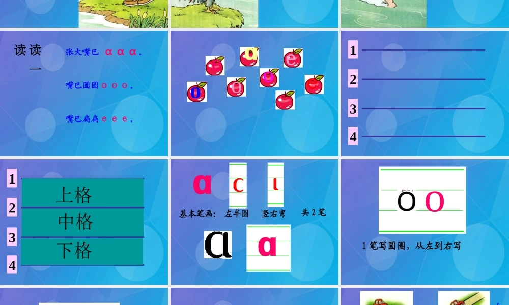 （秋季版）一年级语文上册 拼音1 a o e课件 苏教版-苏教版小学一年级上册语文课件