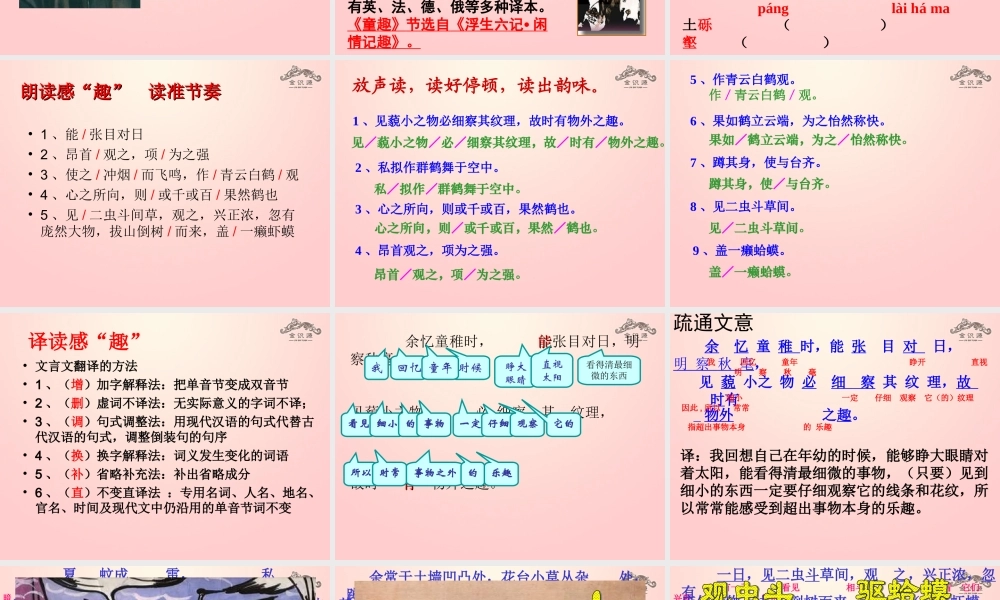 金级语文上册 第一单元 5《童趣》课件 鲁教版五四制-鲁教版五四级上册语文课件