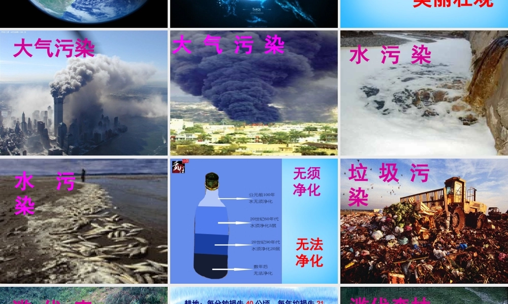 秋四年级语文上册《只有一个地球》课件5 沪教版-沪教版小学四年级上册语文课件