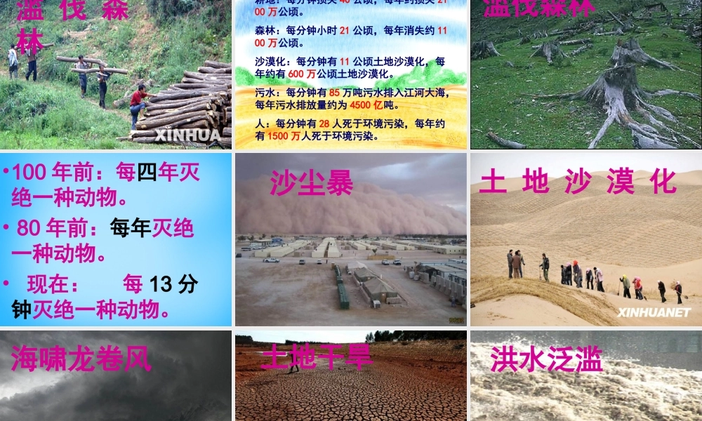 秋四年级语文上册《只有一个地球》课件5 沪教版-沪教版小学四年级上册语文课件