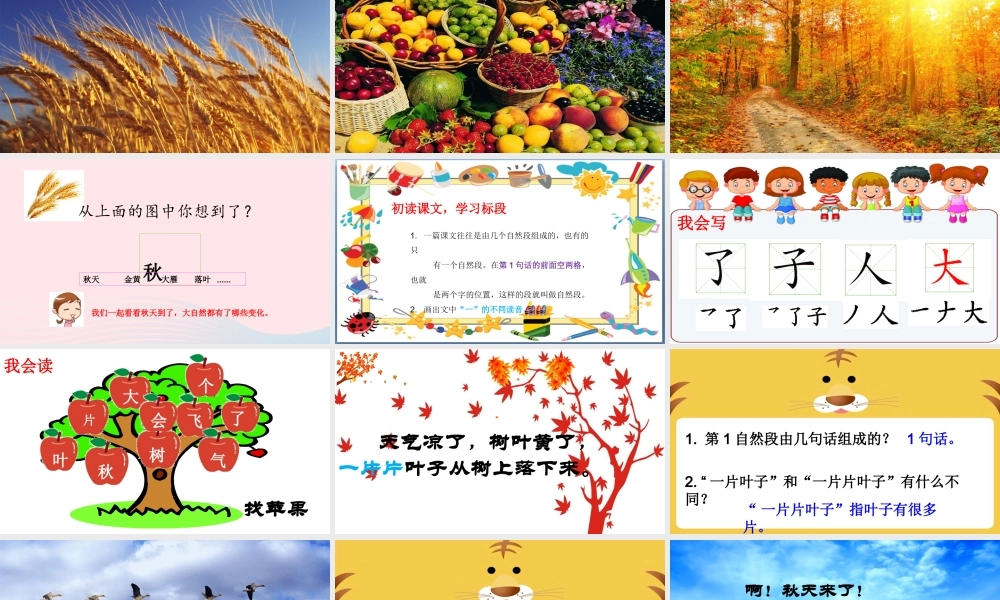 课文 1 1 秋天课堂教学课件1