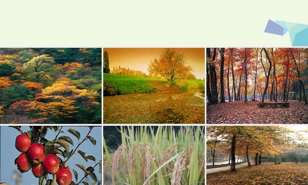 （秋季版）一年级语文上册 课文1 秋天课件1 新人教版-新人教版小学一年级上册语文课件