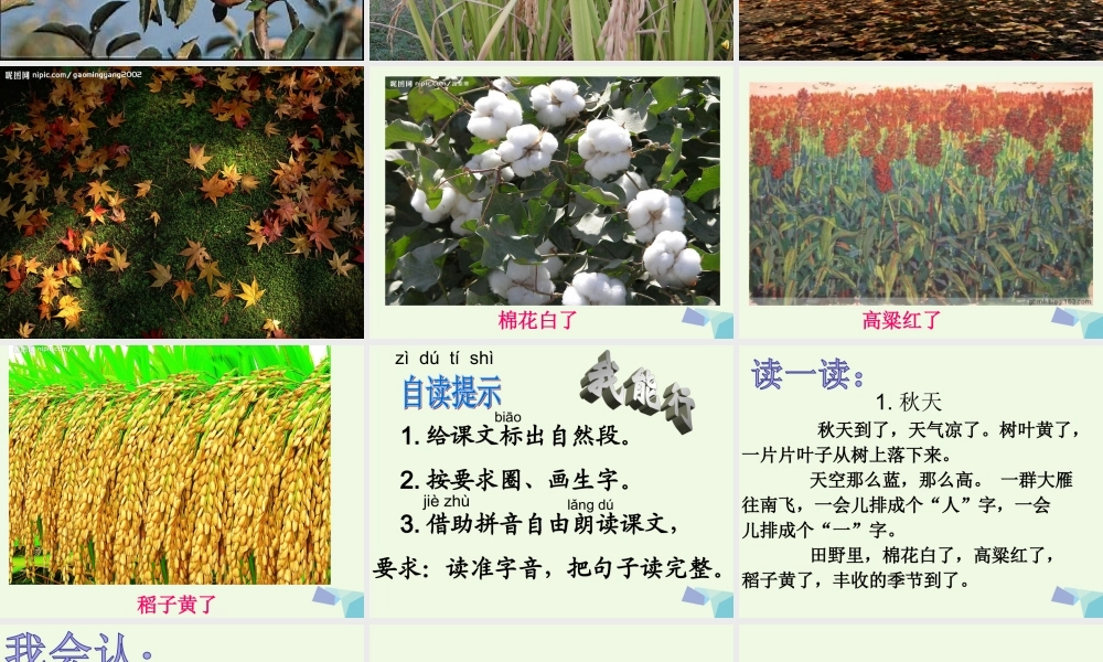 （秋季版）一年级语文上册 课文1 秋天课件1 新人教版-新人教版小学一年级上册语文课件