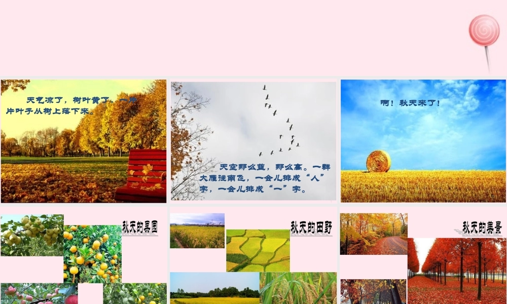课文 1 1 秋天课堂教学课件2