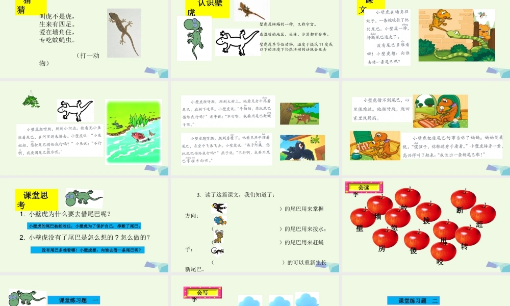 （秋季版）一年级语文下册 第21课 小壁虎借尾巴课件 新人教版-新人教版小学一年级下册语文课件