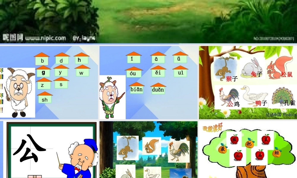 （秋季版）一年级语文上册 课文2 6 比尾巴课件1 新人教版-新人教版小学一年级上册语文课件