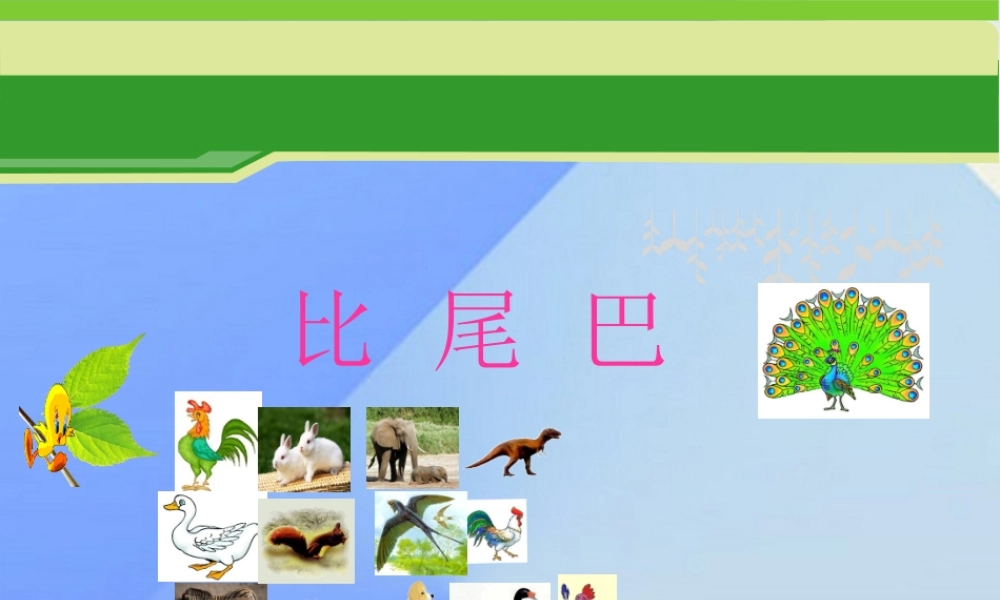 （秋季版）一年级语文上册 课文2 6 比尾巴课件2 新人教版-新人教版小学一年级上册语文课件