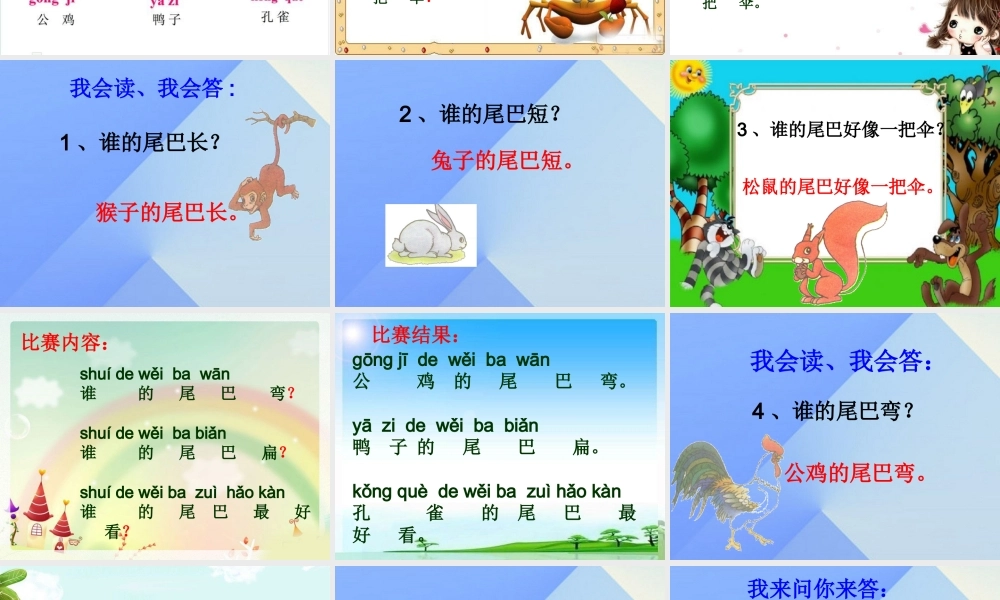 （秋季版）一年级语文上册 课文2 6 比尾巴课件4 新人教版-新人教版小学一年级上册语文课件