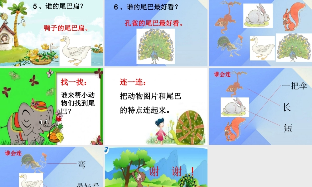 （秋季版）一年级语文上册 课文2 6 比尾巴课件4 新人教版-新人教版小学一年级上册语文课件