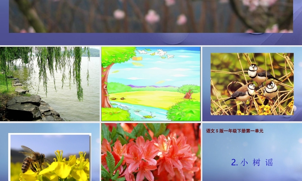 （秋季版）一年级语文下册 课文1 2 小树谣课件4 语文S版-语文S版小学一年级下册语文课件