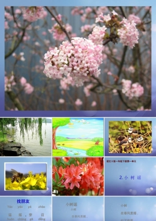 （秋季版）一年级语文下册 课文1 2 小树谣课件4 语文S版-语文S版小学一年级下册语文课件