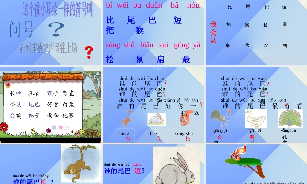 （秋季版）一年级语文上册 课文2 6 比尾巴课件5 新人教版-新人教版小学一年级上册语文课件