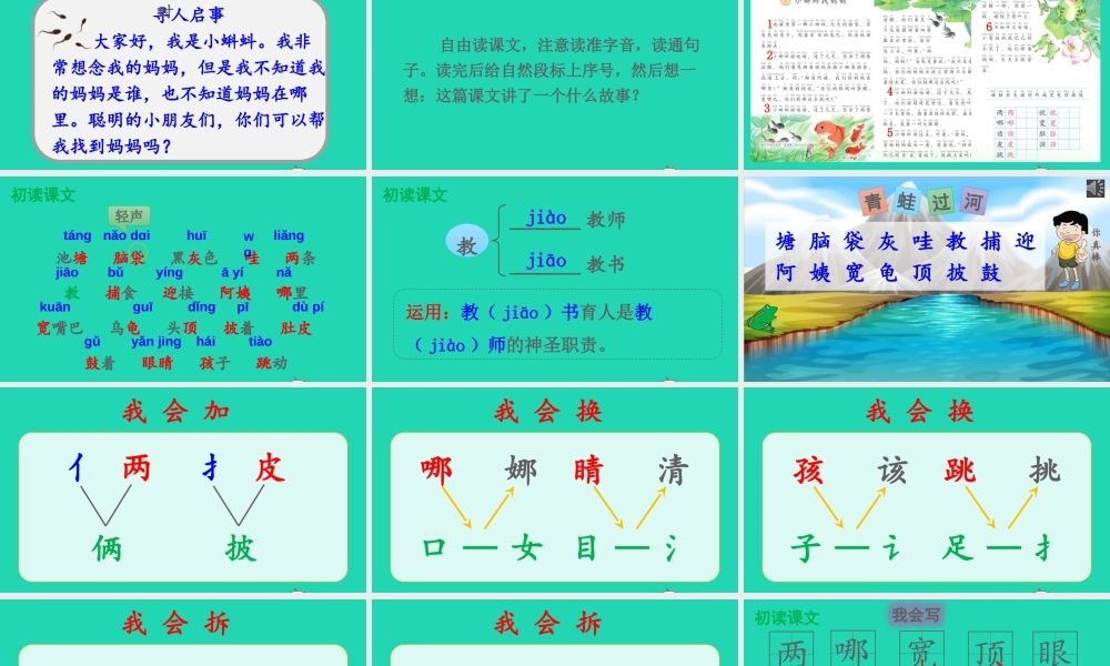 课文1 1 小蝌蚪找妈妈课件