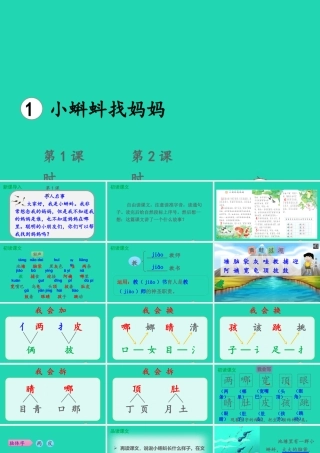 课文1 1 小蝌蚪找妈妈课件