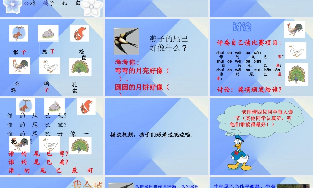 （秋季版）一年级语文上册 课文2 6 比尾巴课件6 新人教版-新人教版小学一年级上册语文课件
