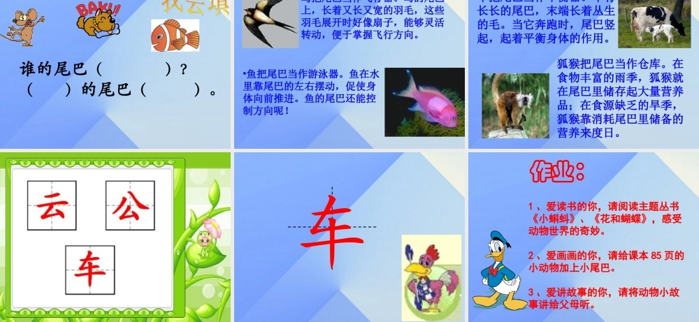 （秋季版）一年级语文上册 课文2 6 比尾巴课件6 新人教版-新人教版小学一年级上册语文课件