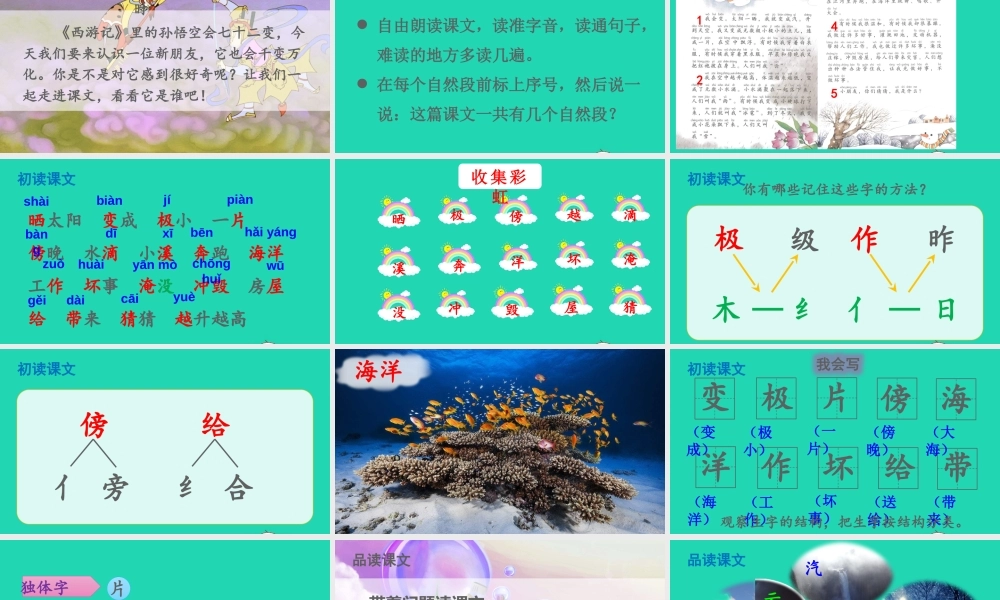 课文1 2 我是什么课件