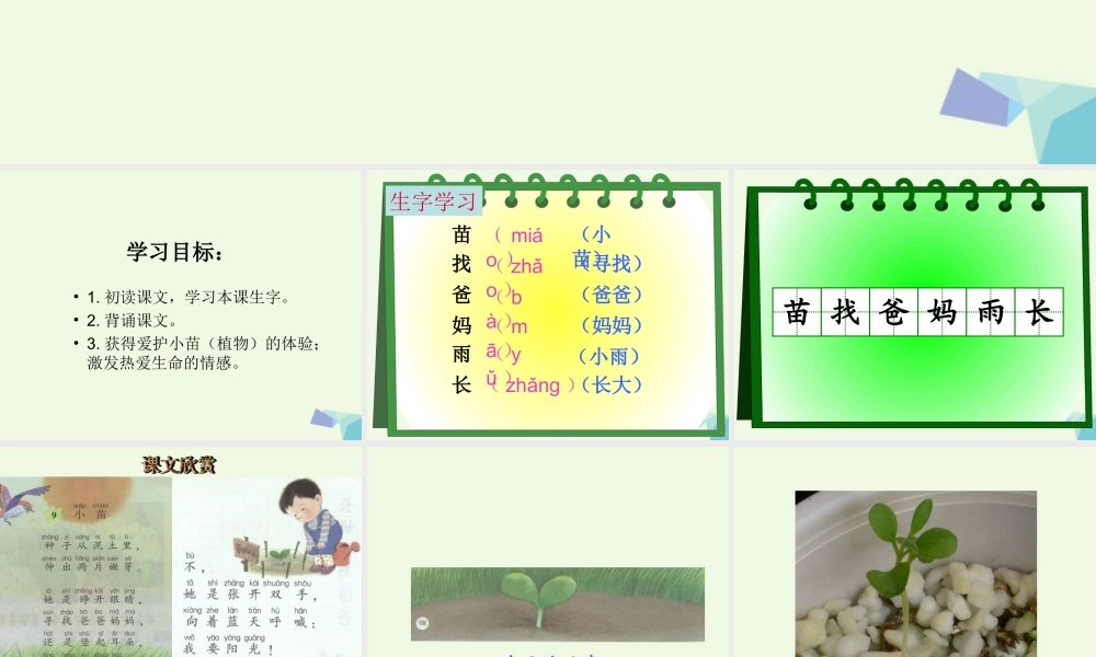 （秋季版）一年级语文上册 小苗课件1 湘教版-湘教版小学一年级上册语文课件