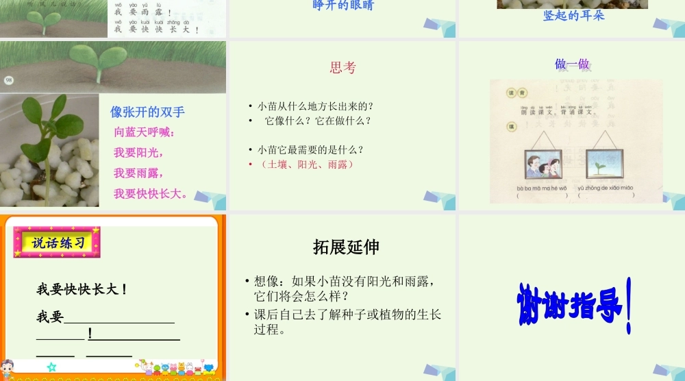 （秋季版）一年级语文上册 小苗课件1 湘教版-湘教版小学一年级上册语文课件