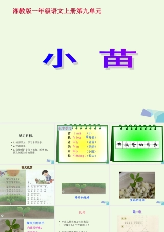 （秋季版）一年级语文上册 小苗课件1 湘教版-湘教版小学一年级上册语文课件