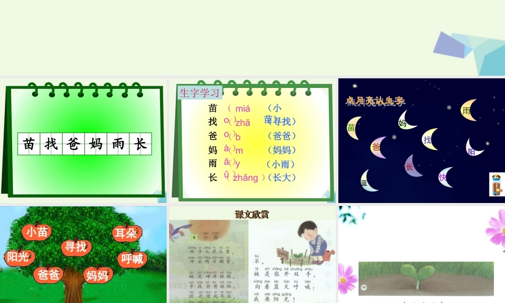 （秋季版）一年级语文上册 小苗课件2 湘教版-湘教版小学一年级上册语文课件