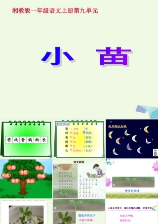 （秋季版）一年级语文上册 小苗课件2 湘教版-湘教版小学一年级上册语文课件
