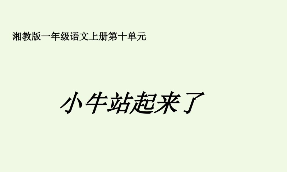 （秋季版）一年级语文上册 小牛站起来课件1 湘教版-湘教版小学一年级上册语文课件