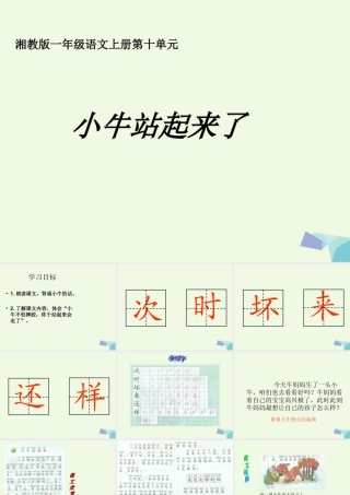 （秋季版）一年级语文上册 小牛站起来课件1 湘教版-湘教版小学一年级上册语文课件