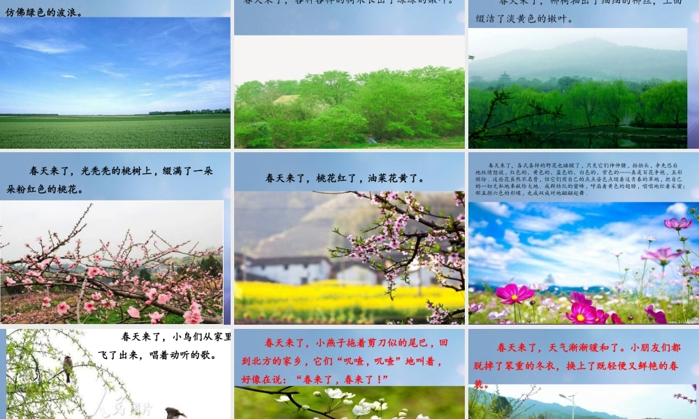 （秋季版）一年级语文下册 课文1《百花园二》课件 语文S版-语文S版小学一年级下册语文课件