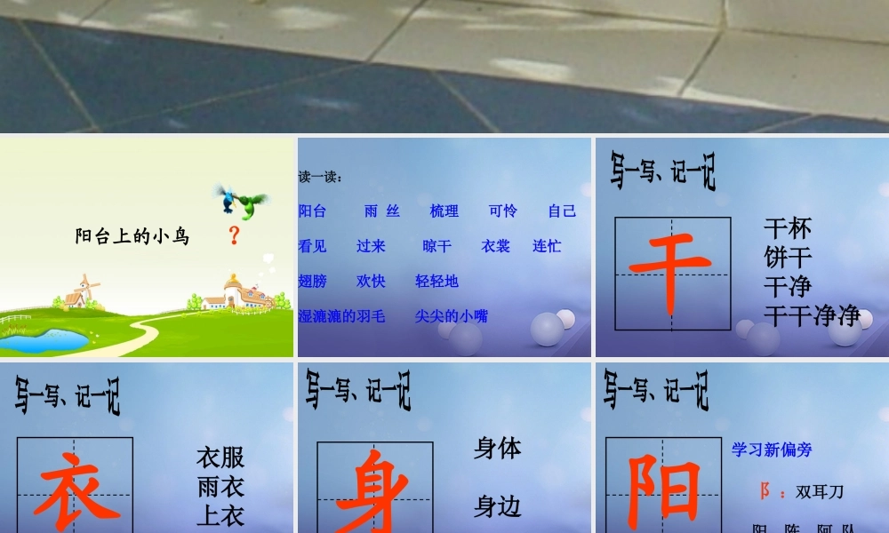 （秋季版）一年级语文下册 课文2 5《阳台上的小鸟》课件1 语文S版-语文S版小学一年级下册语文课件